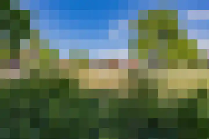 Notenboomplein 48 IJmuiden thumbnail 7