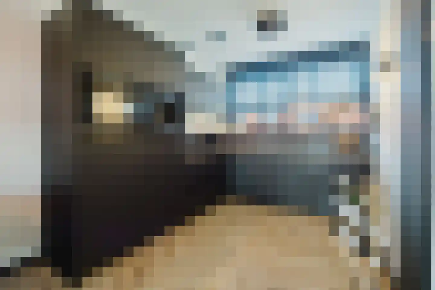 Notenboomstraat 16 Schelluinen thumbnail 13