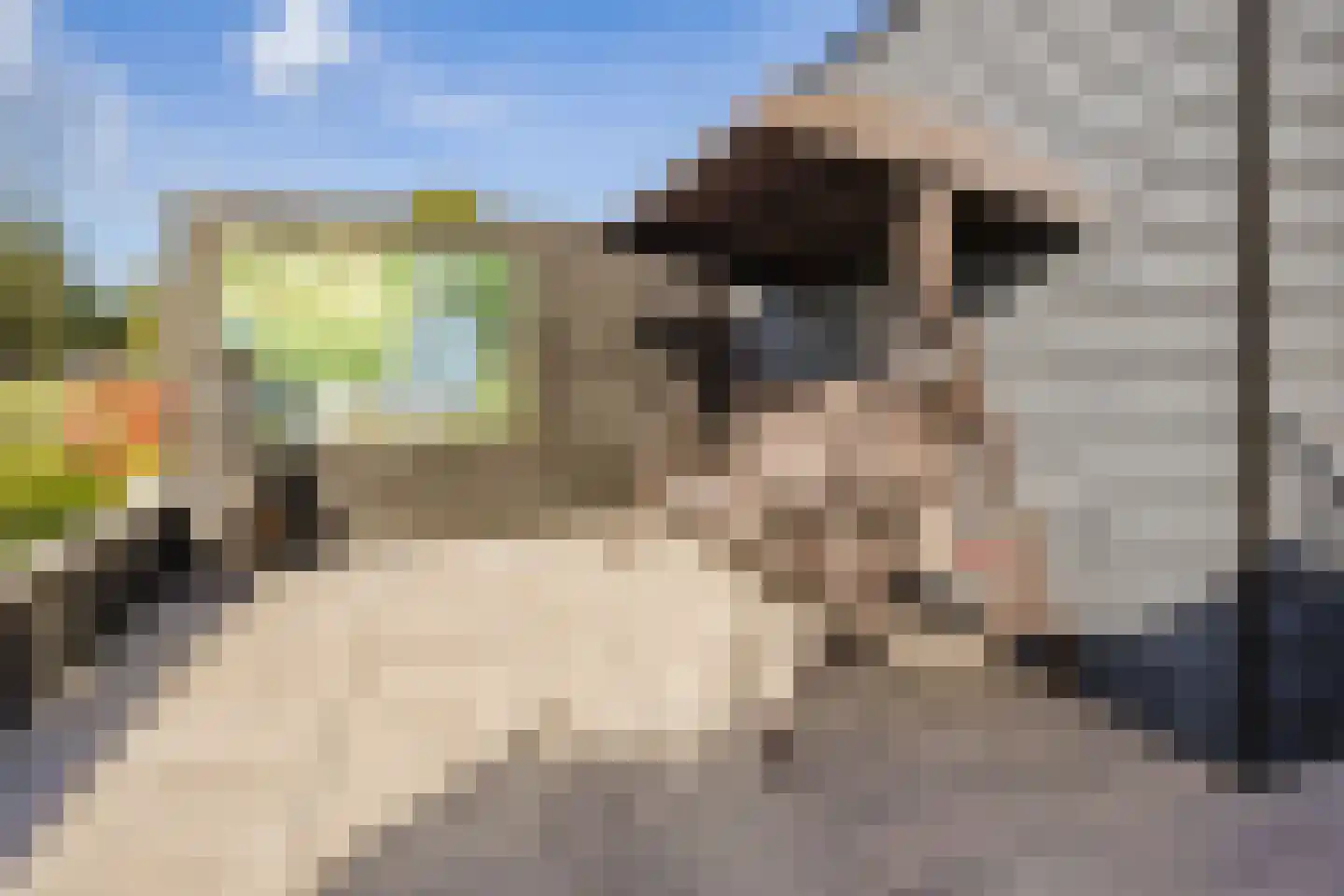 Notenboomstraat 16 Schelluinen thumbnail 19