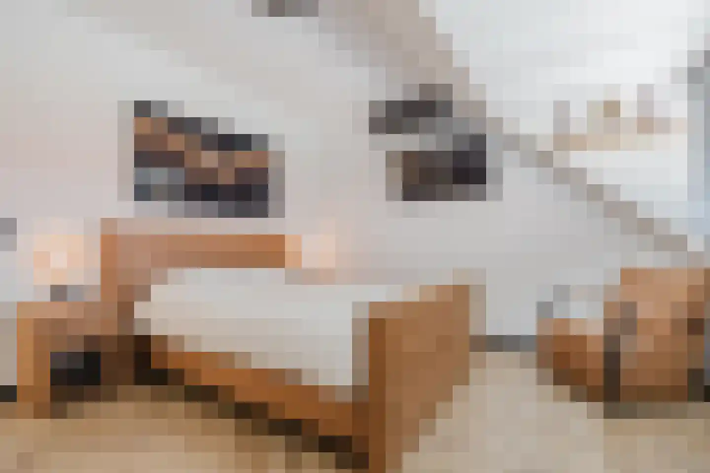 Notenboomstraat 16 Schelluinen thumbnail 24