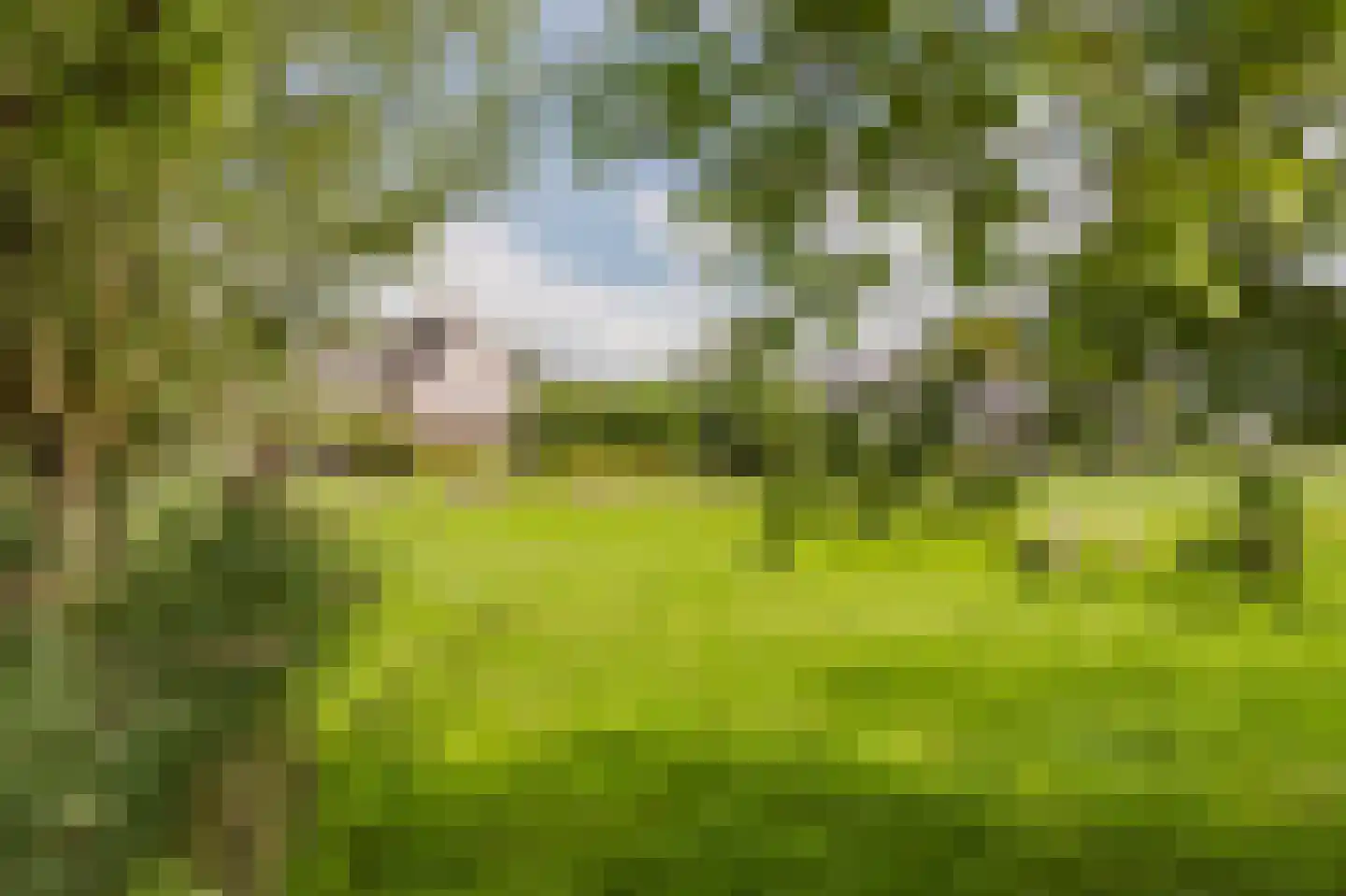 Notenboomstraat 16 Schelluinen thumbnail 32