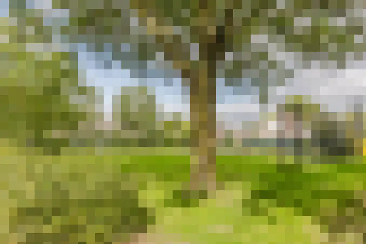 Notenboomstraat 16 Schelluinen thumbnail 33