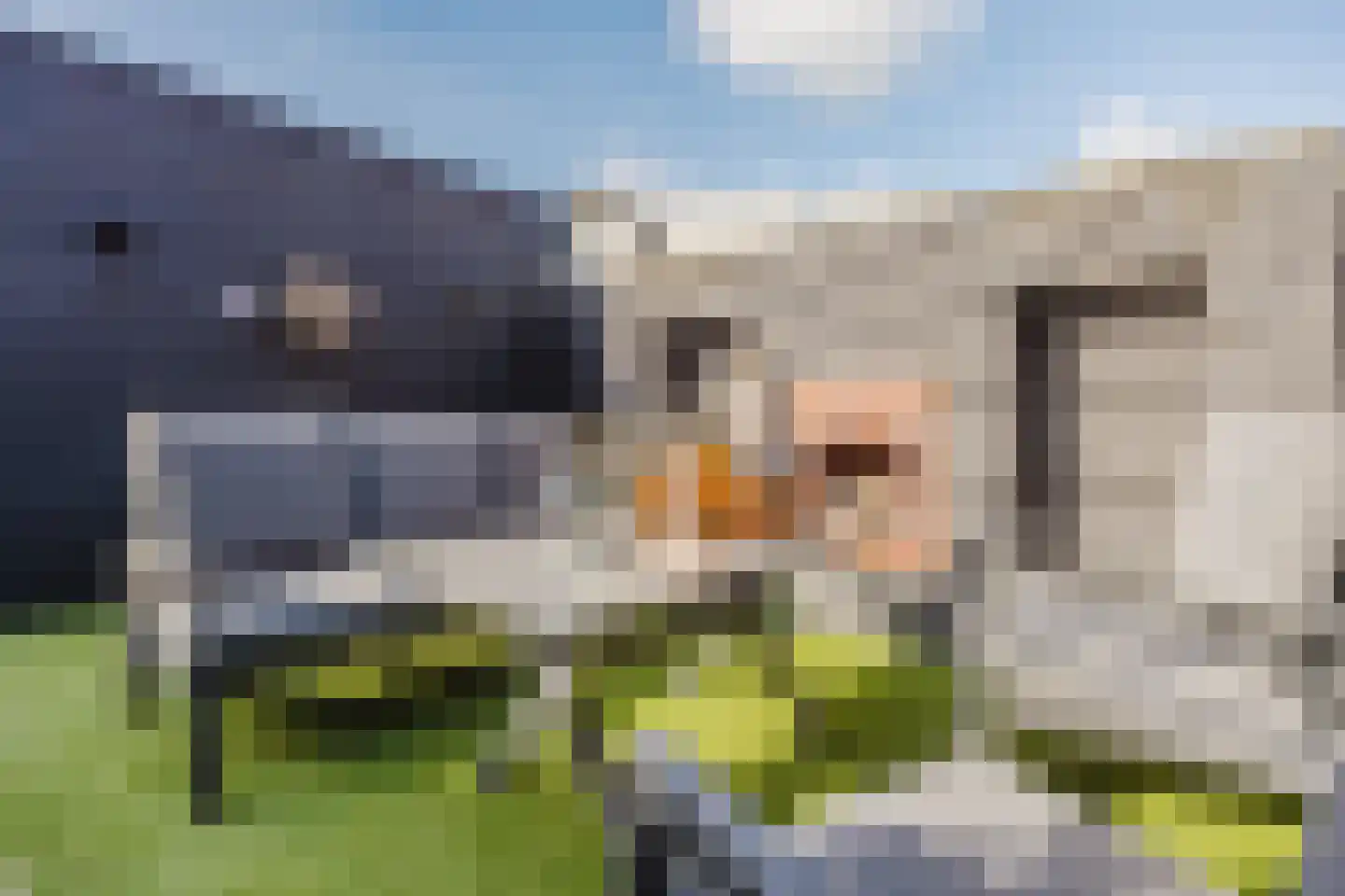 Notenboomstraat 16 Schelluinen thumbnail 5