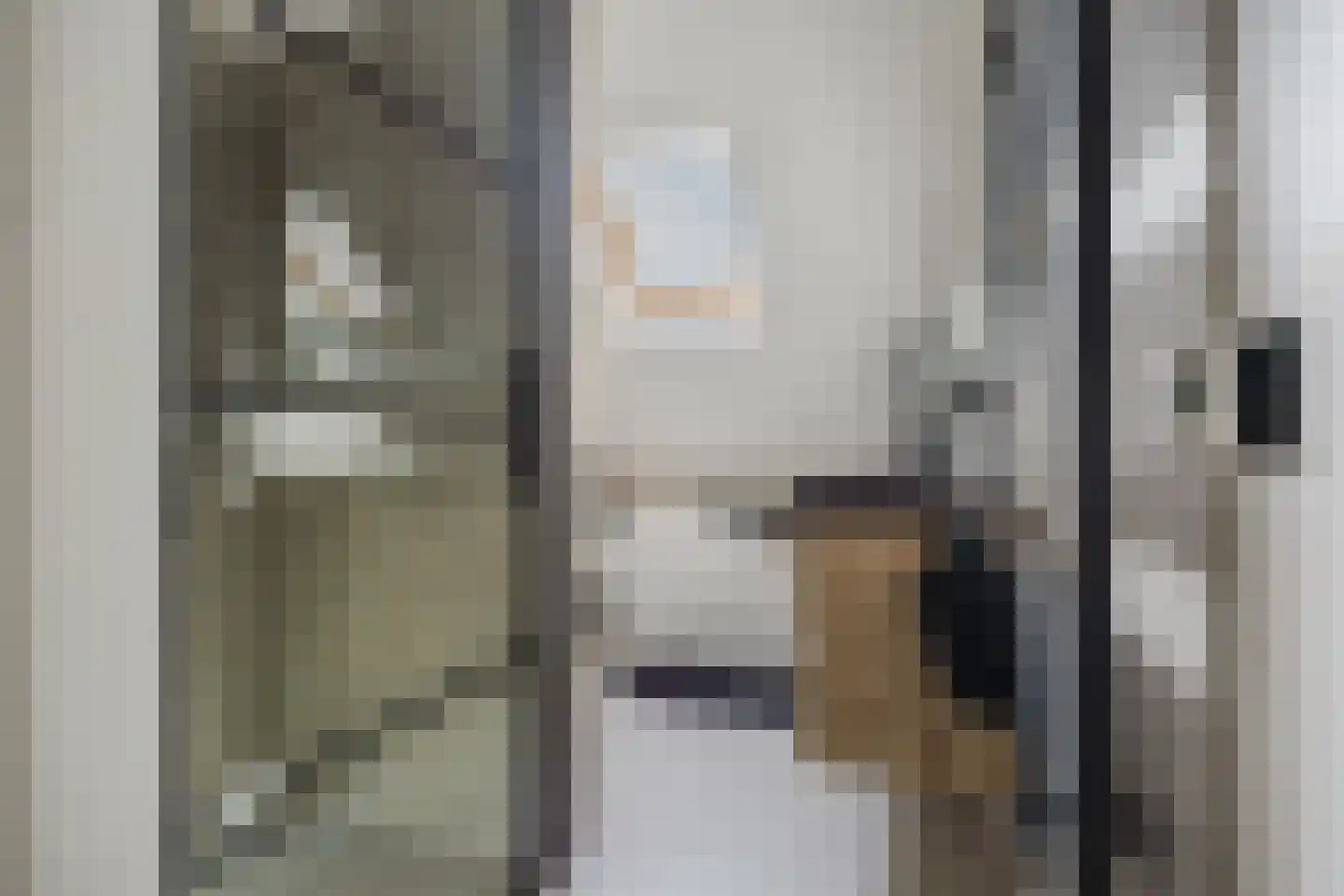 Notenboomstraat 16 Schelluinen thumbnail 6