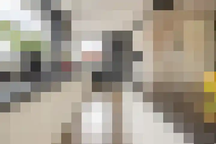 Notenboomstraat 18 Schelluinen thumbnail 11