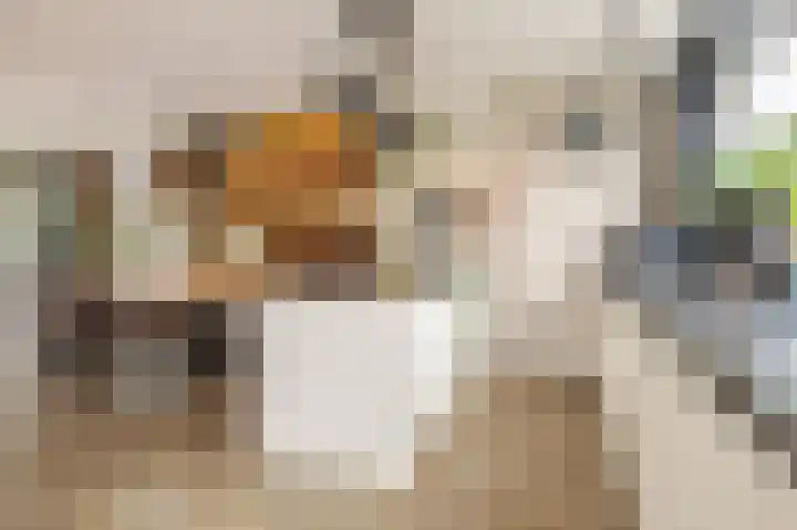 Notenboomstraat 18 Schelluinen thumbnail 12