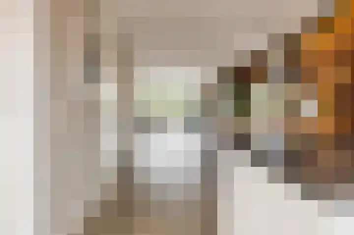 Notenboomstraat 18 Schelluinen thumbnail 13