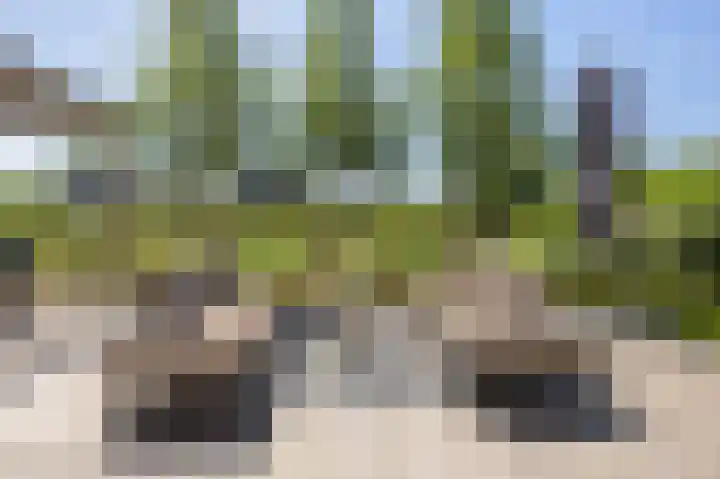 Notenboomstraat 18 Schelluinen thumbnail 14