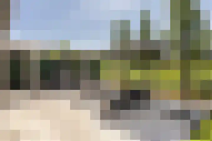 Notenboomstraat 18 Schelluinen thumbnail 15