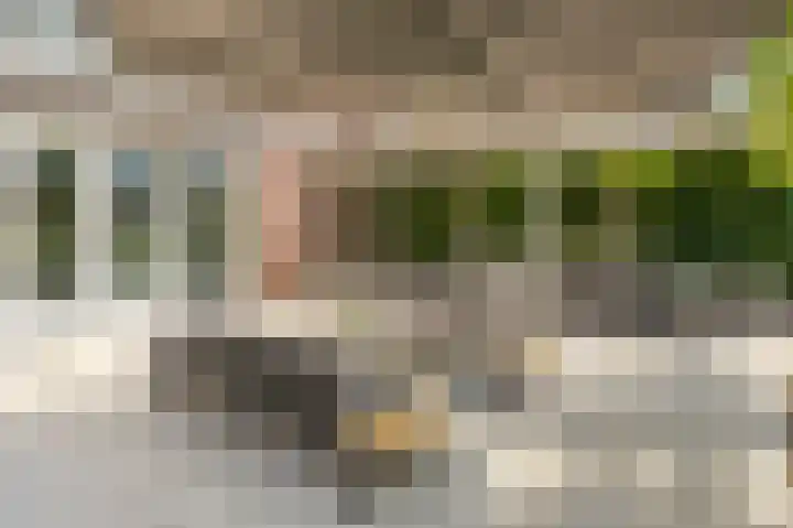 Notenboomstraat 18 Schelluinen thumbnail 16