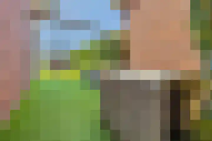 Notenboomstraat 18 Schelluinen thumbnail 17