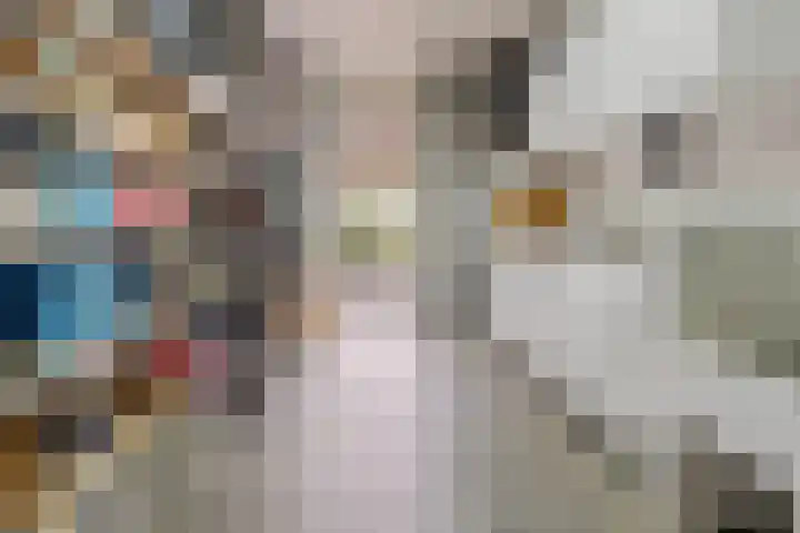 Notenboomstraat 18 Schelluinen thumbnail 34