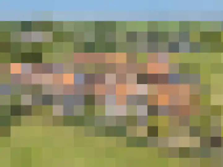 Notenboomstraat 18 Schelluinen thumbnail 4