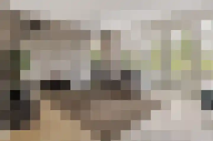 Notenboomstraat 18 Schelluinen thumbnail 5