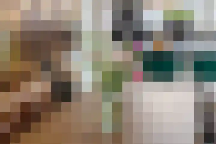 Notenboomstraat 18 Schelluinen thumbnail 8