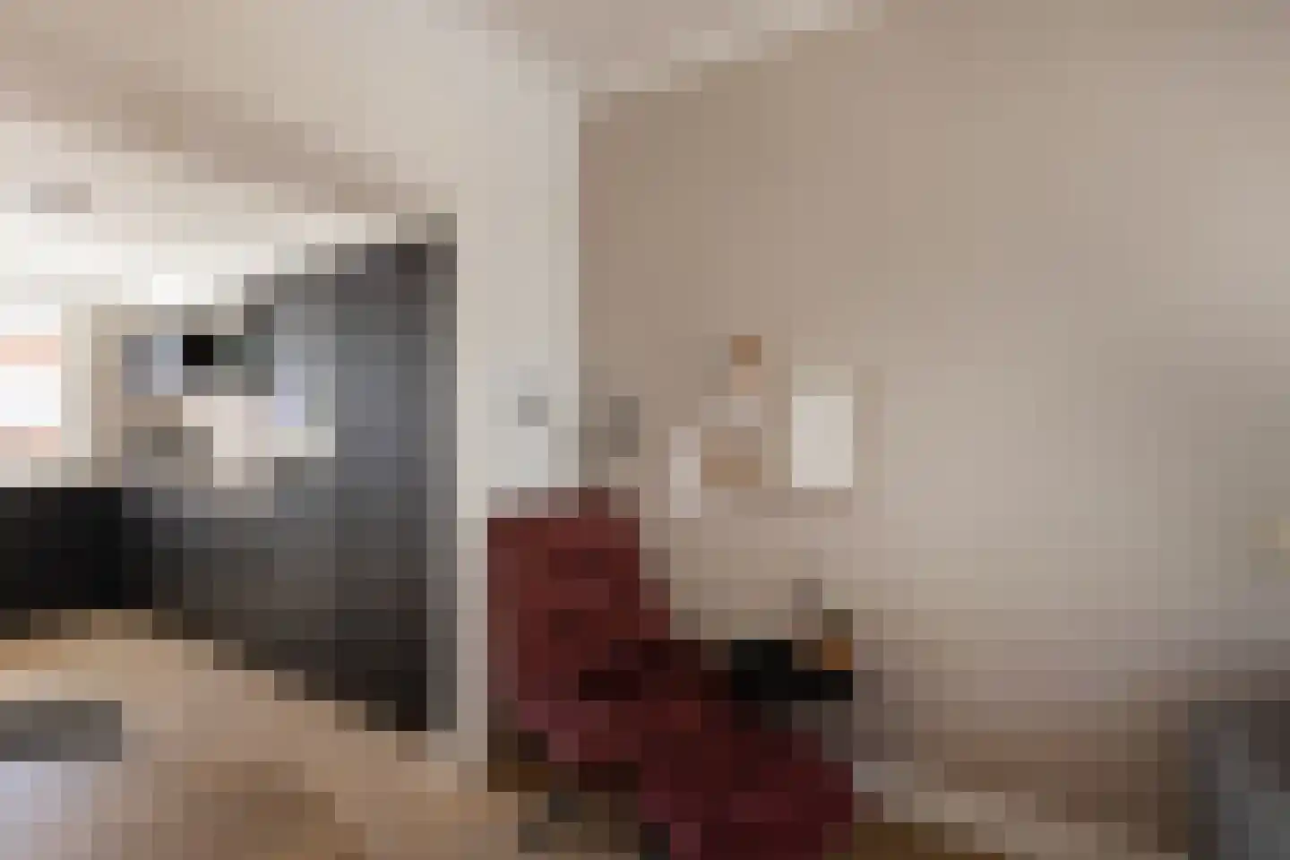 Notenboomstraat 23 Groenlo thumbnail 5