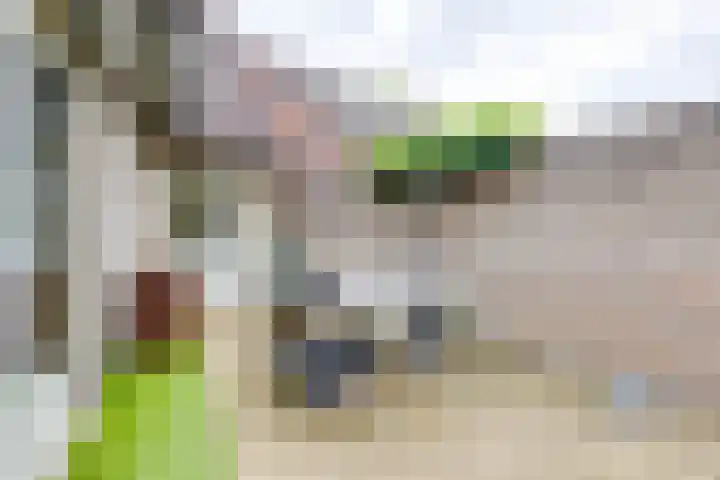Notenboomstraat 26 Groenlo thumbnail 40