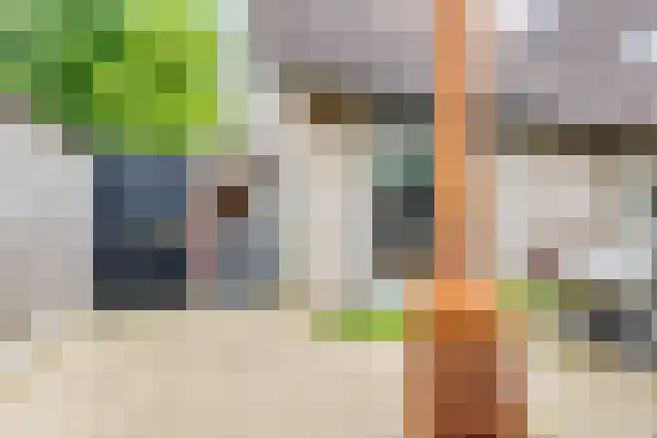 Notenboomstraat 26 Groenlo thumbnail 42