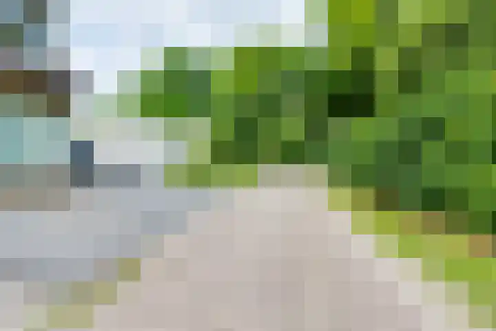 Notenboomstraat 26 Groenlo thumbnail 44
