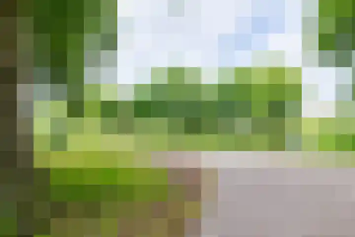 Notenboomstraat 26 Groenlo thumbnail 46