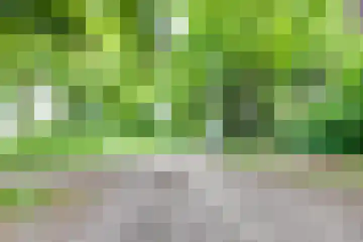 Notenboomstraat 26 Groenlo thumbnail 47