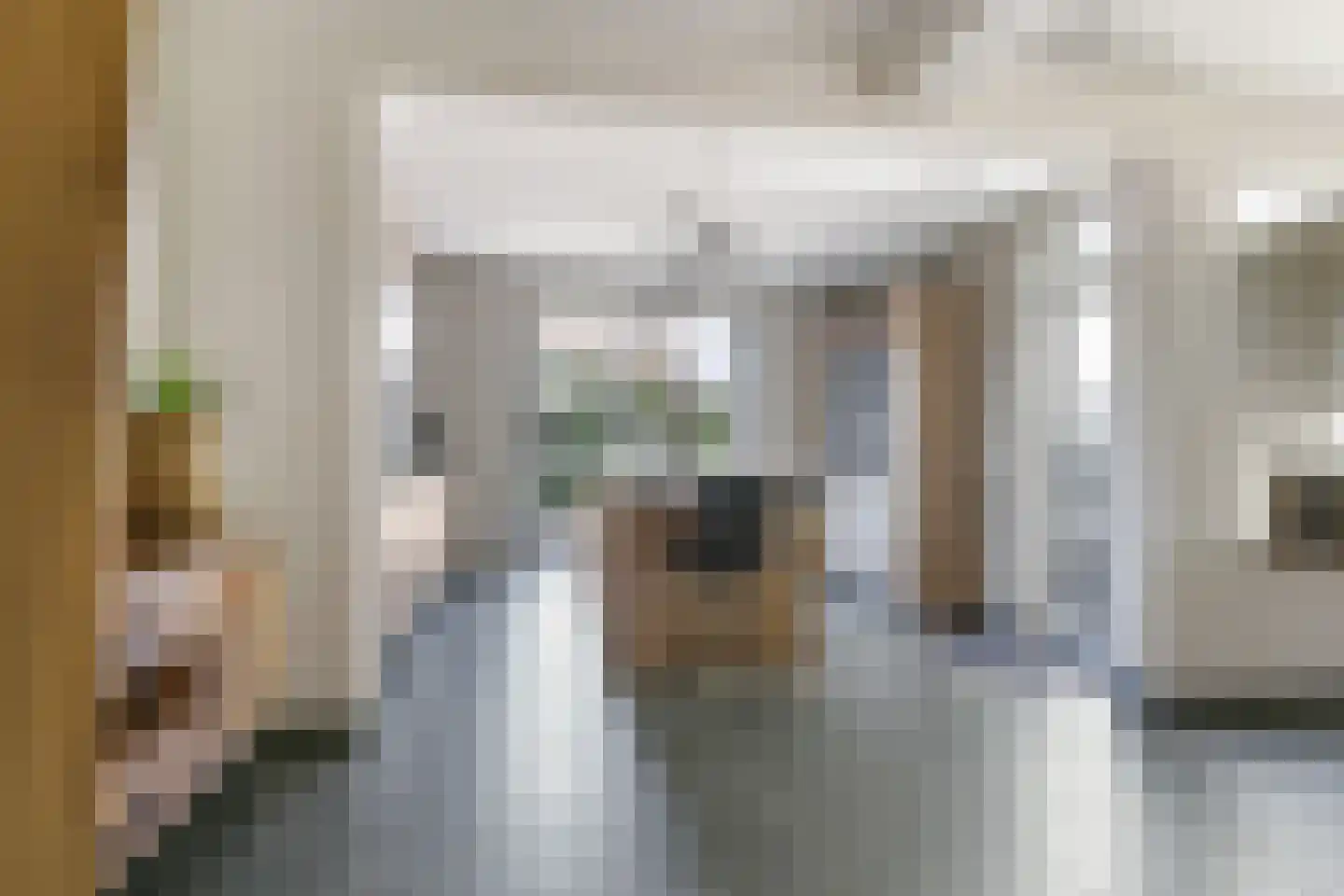 Notenboomstraat 45 Haalderen thumbnail 13