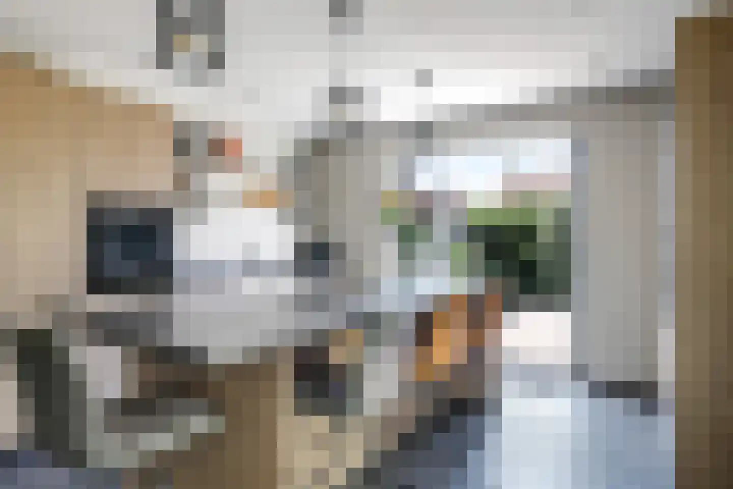 Notenboomstraat 45 Haalderen thumbnail 15