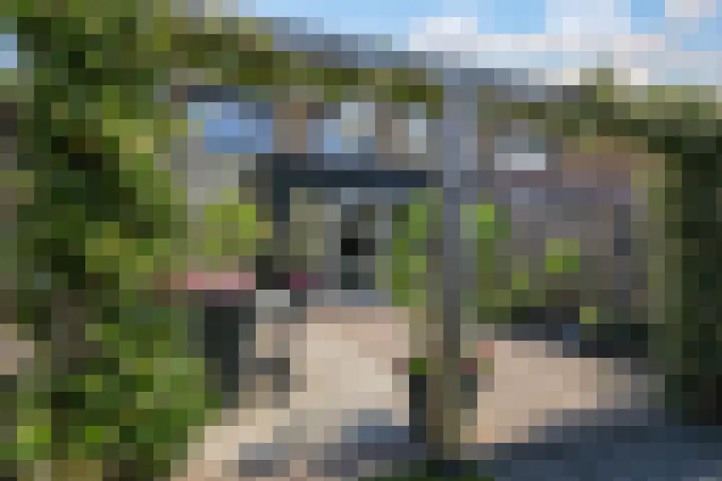 Notenboomstraat 45 Haalderen thumbnail 34