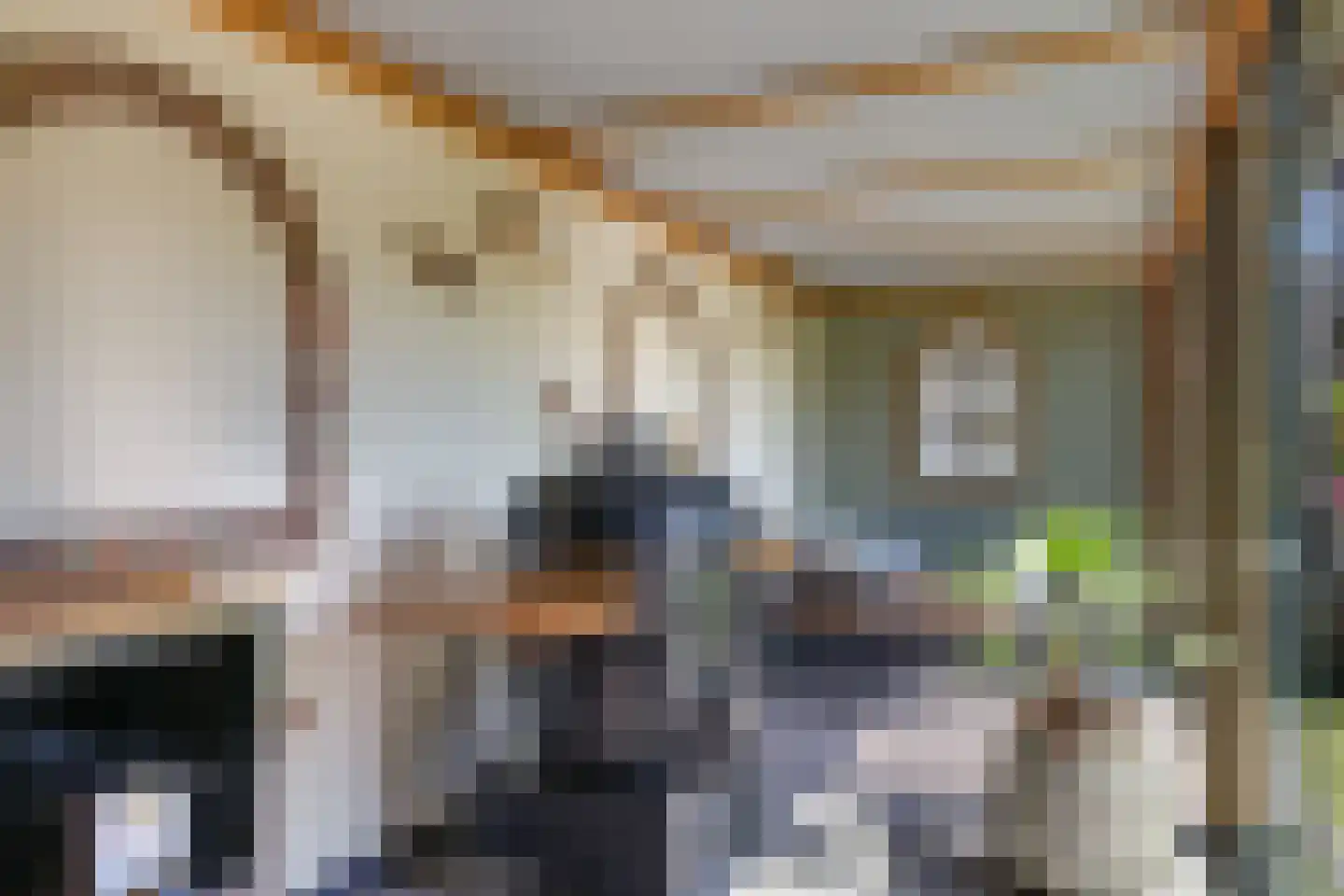 Notenboomstraat 45 Haalderen thumbnail 43