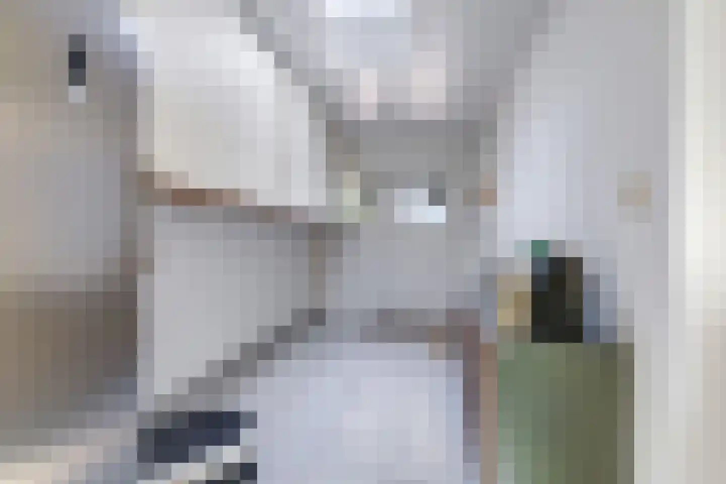 Notenboomstraat 45 Haalderen thumbnail 47