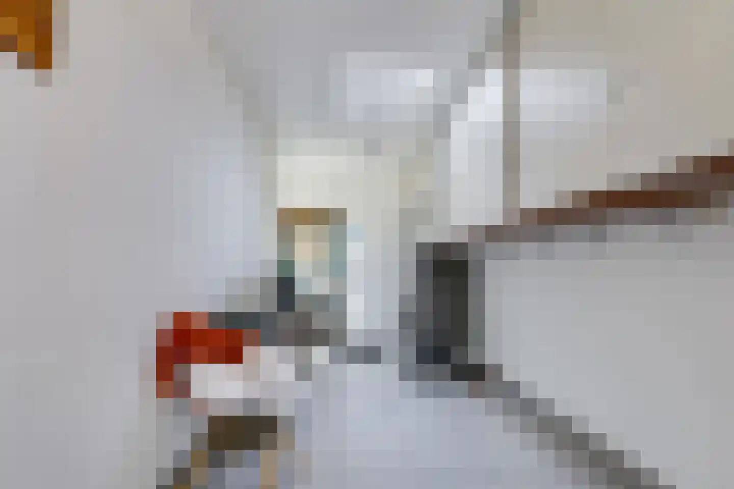 Notenboomstraat 45 Haalderen thumbnail 48