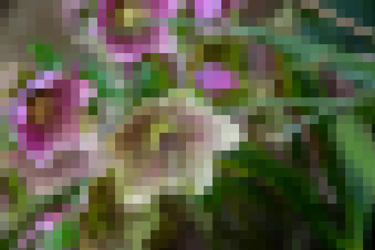 Notenboomstraat 8 Groenlo thumbnail 34