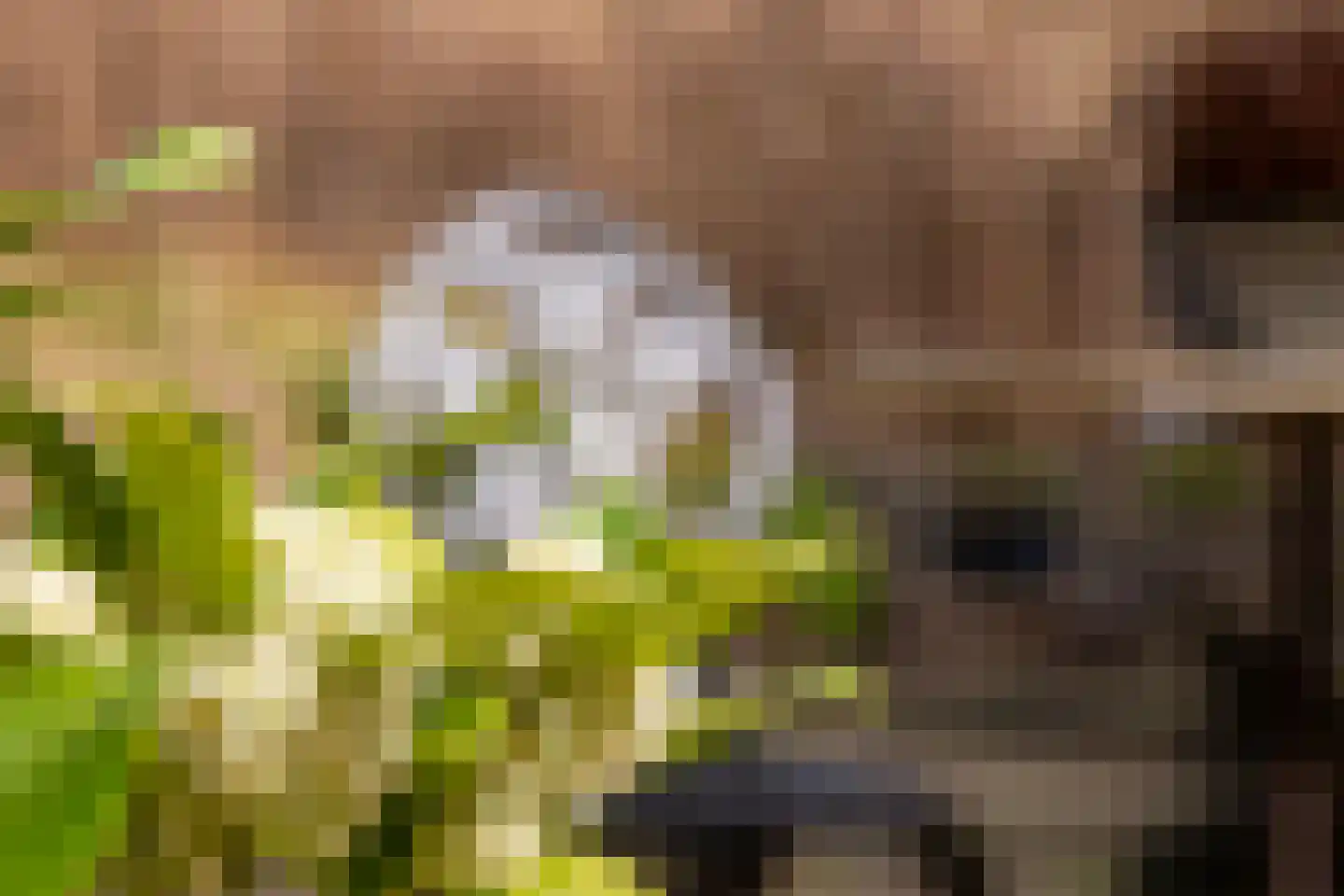 Notenboomstraat 8 Groenlo thumbnail 37