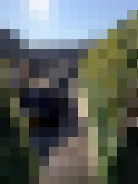 Notenboomtuin 6 Rijswijk thumbnail 34