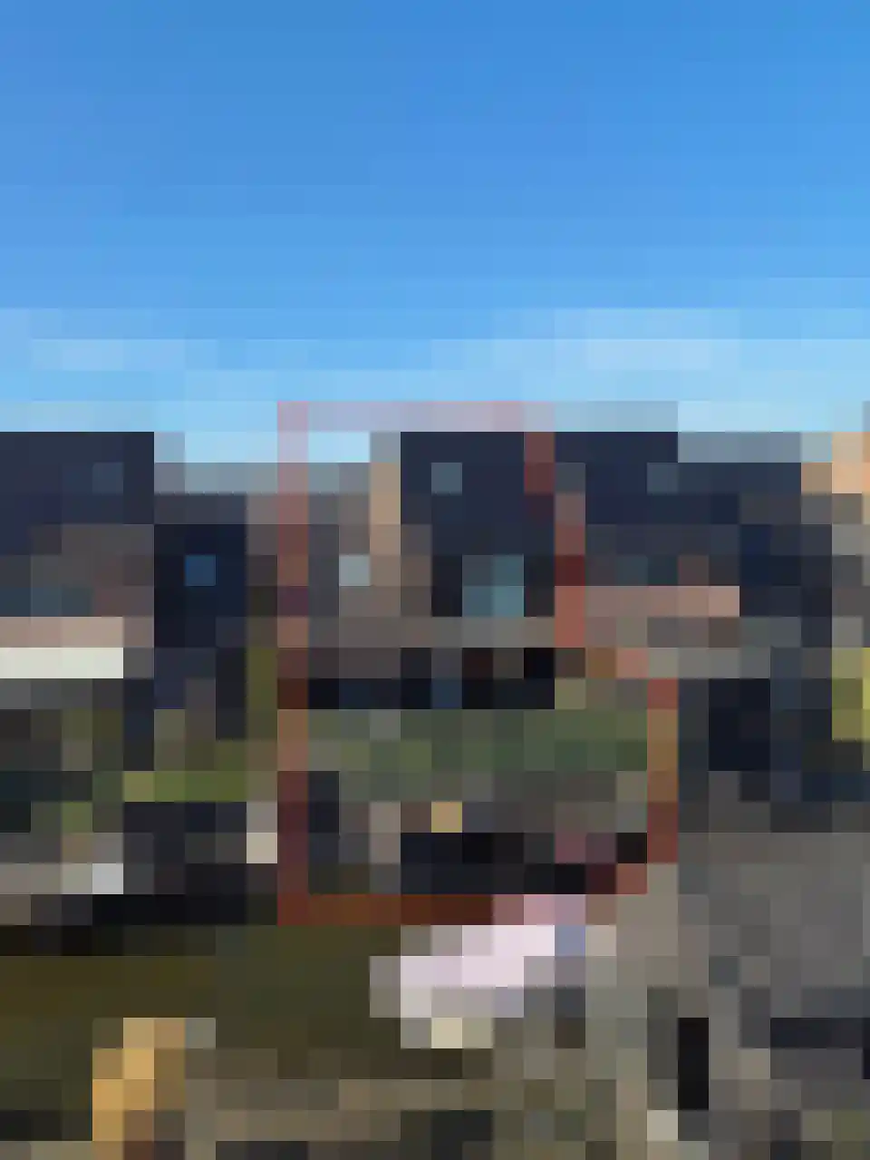 Notenboomtuin 6 Rijswijk thumbnail 4