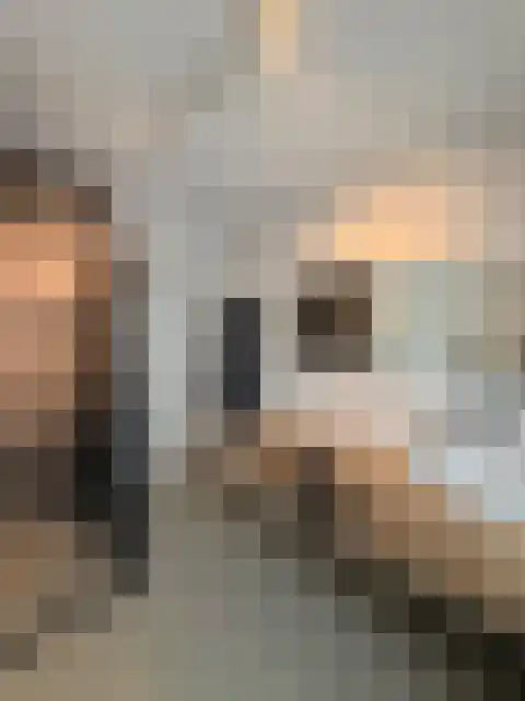 Notenboomtuin 6 Rijswijk thumbnail 44