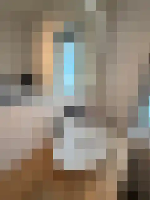 Notenboomtuin 6 Rijswijk thumbnail 47