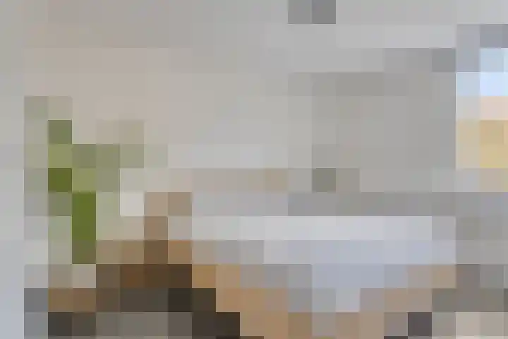 Notenborg 10 Maastricht thumbnail 15