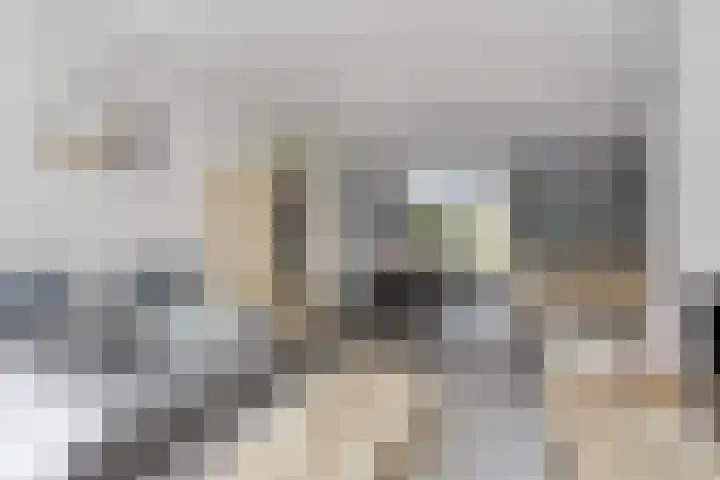 Notenborg 10 Maastricht thumbnail 8