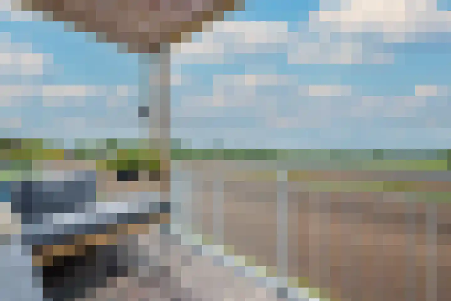 Notendreef 24 Arkel thumbnail 14