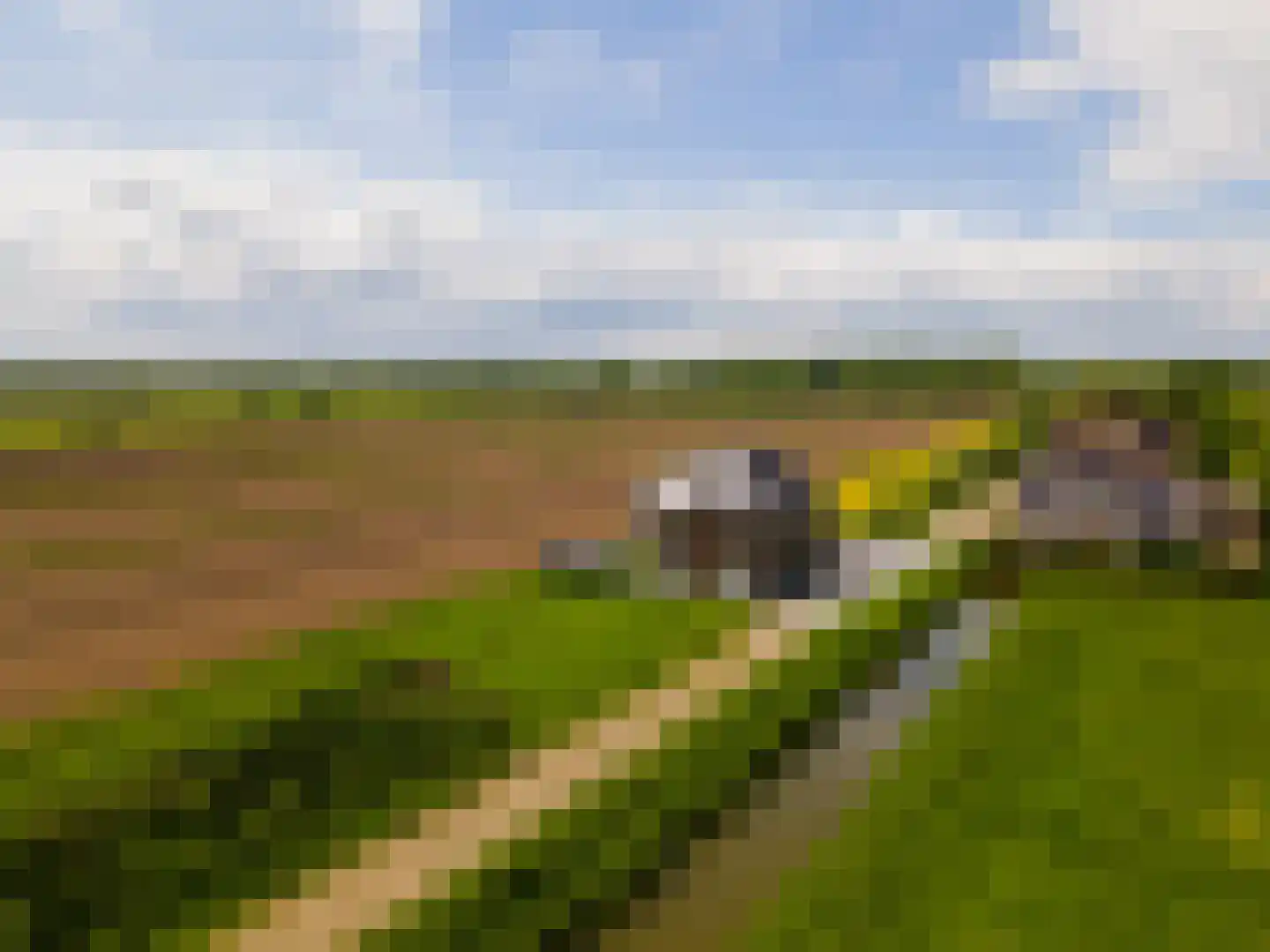 Notendreef 24 Arkel thumbnail 23