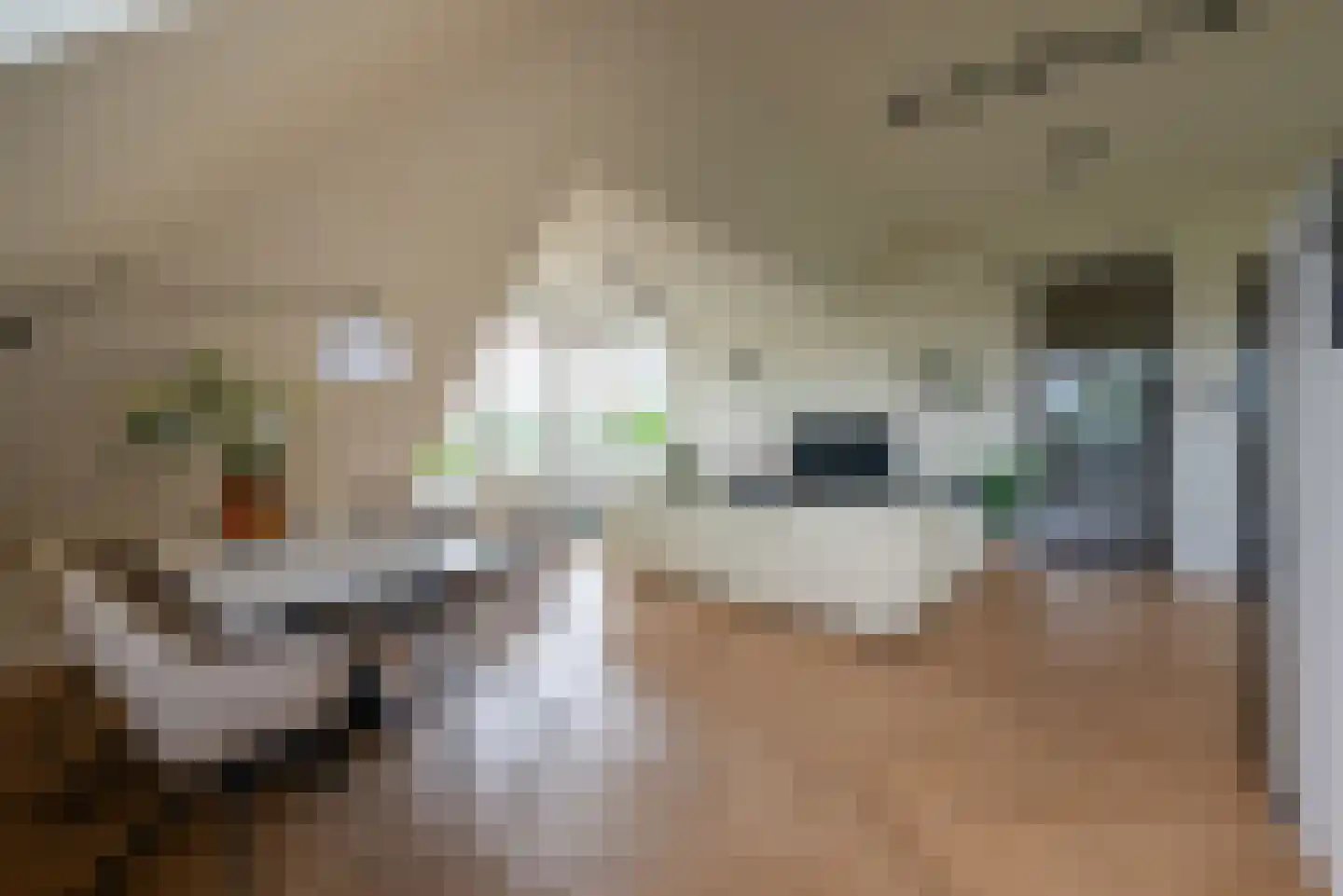 Notendreef 24 Arkel thumbnail 9