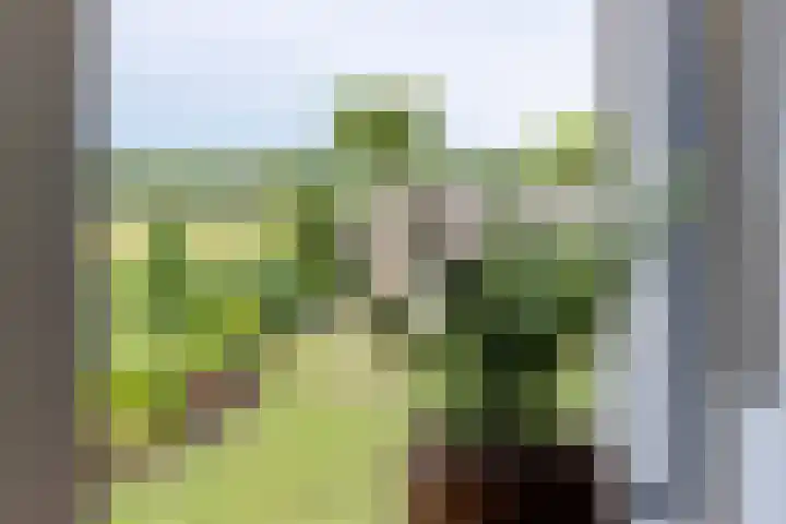 Notendreef 4 Arkel thumbnail 13