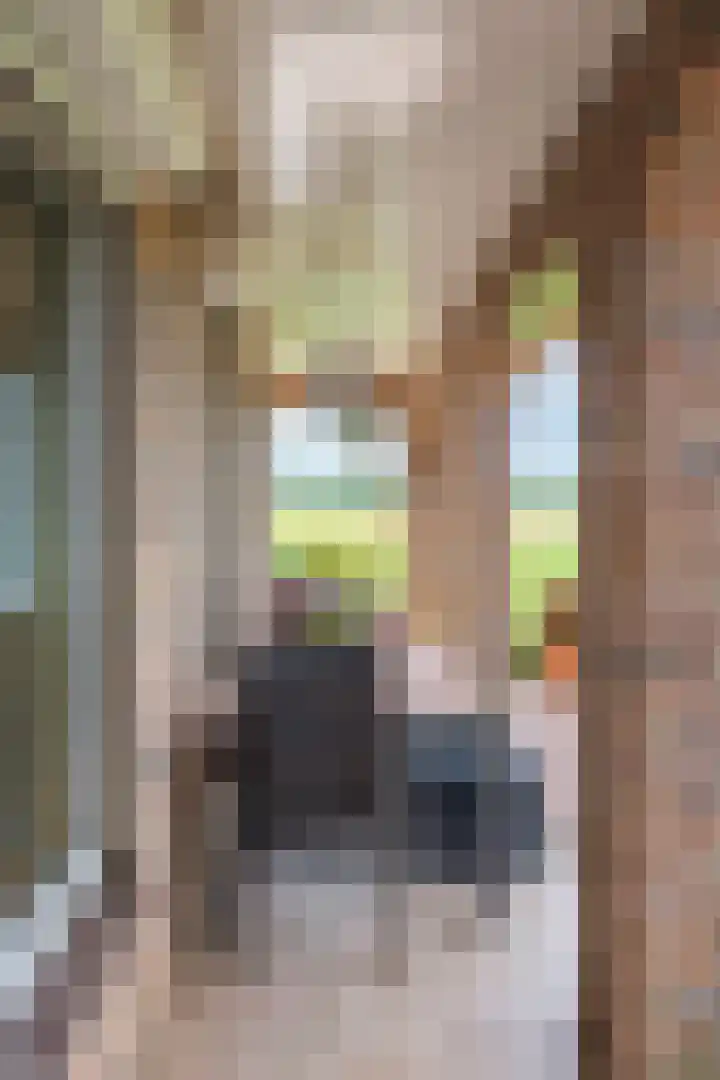 Notendreef 4 Arkel thumbnail 17