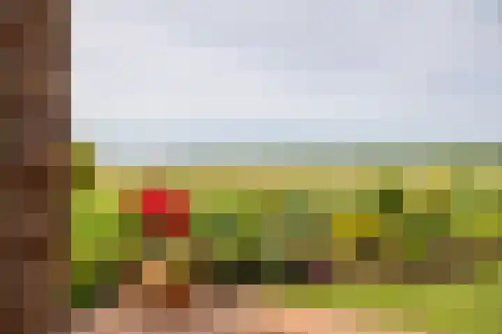Notendreef 4 Arkel thumbnail 18