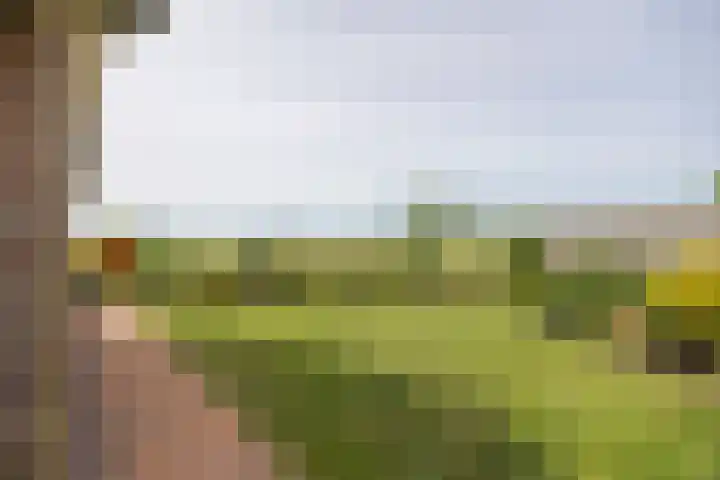 Notendreef 4 Arkel thumbnail 19