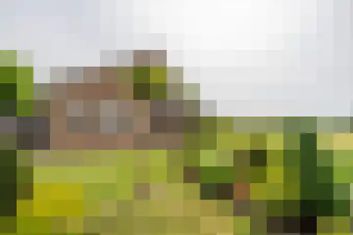 Notendreef 4 Arkel thumbnail 20