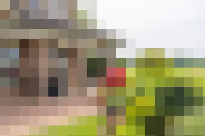 Notendreef 4 Arkel thumbnail 21