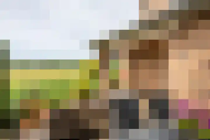 Notendreef 4 Arkel thumbnail 24