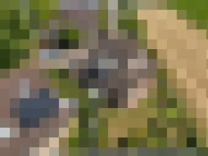 Notendreef 4 Arkel thumbnail 4